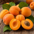 Fresh Apricot (250 g)