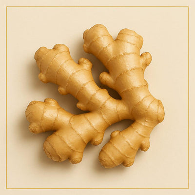 Ginger (100 g)