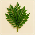 Curry Leaves (100 g)