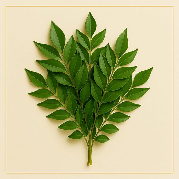 Curry Leaves (100 g)