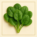 Baby Spinach (200 g)