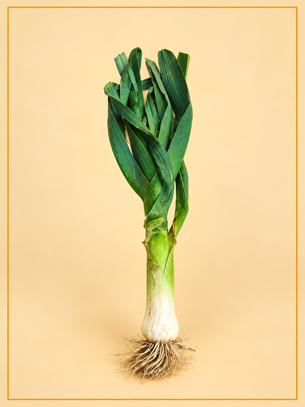 Leek (1 bunch)