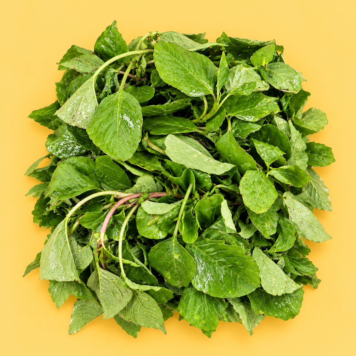 Cholai saag 500 g