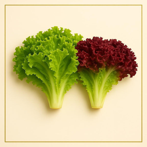 loose-leaf mixed lettuce (250g)