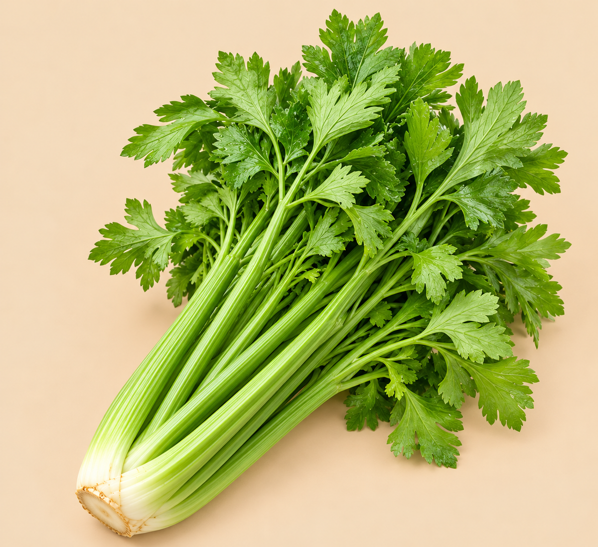 Celery 100 g