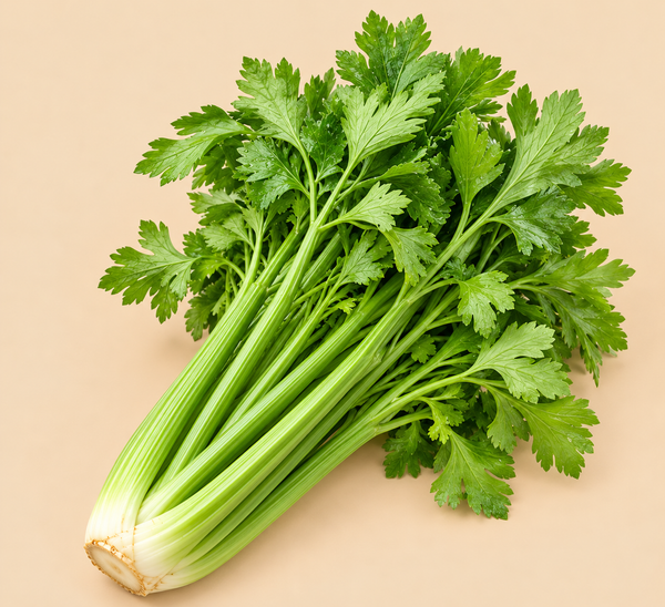 Celery 100 g