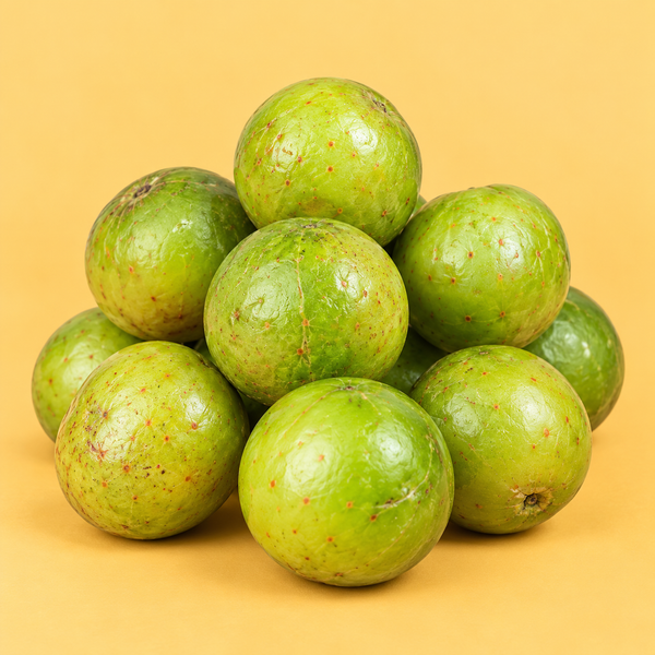 Apple beer (500 gm)