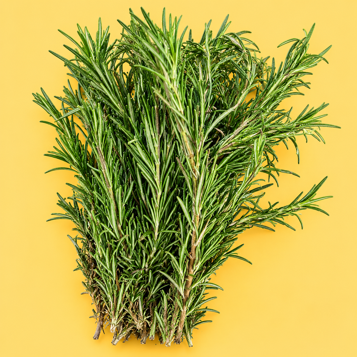 Rosemary (25 g)