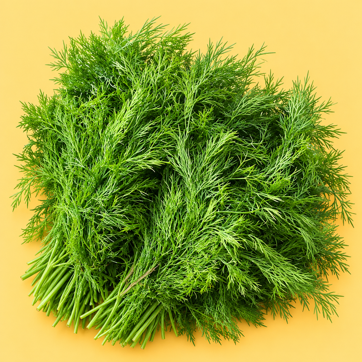 Dill leaves 100 g