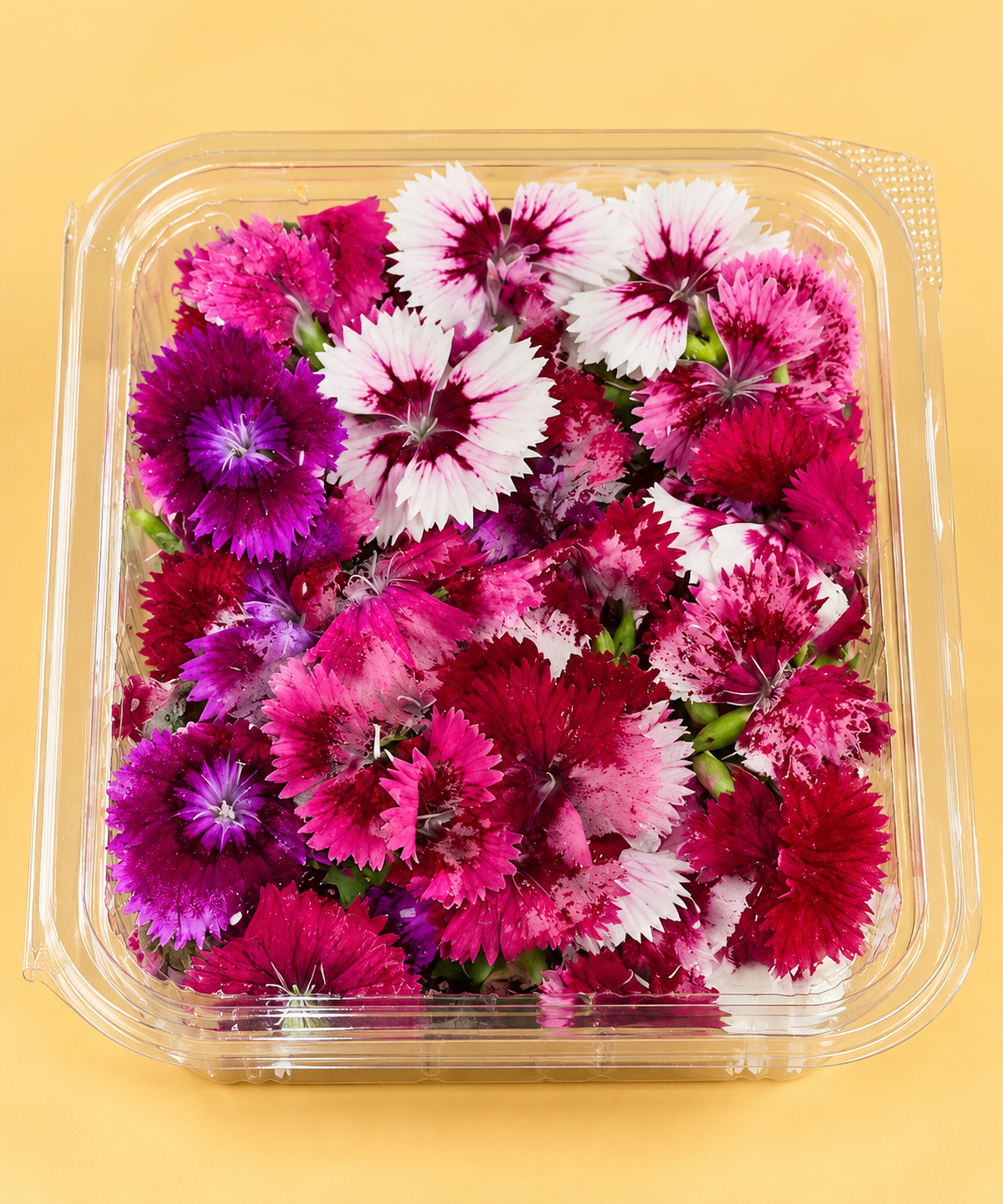 Edible flowers (1 box)