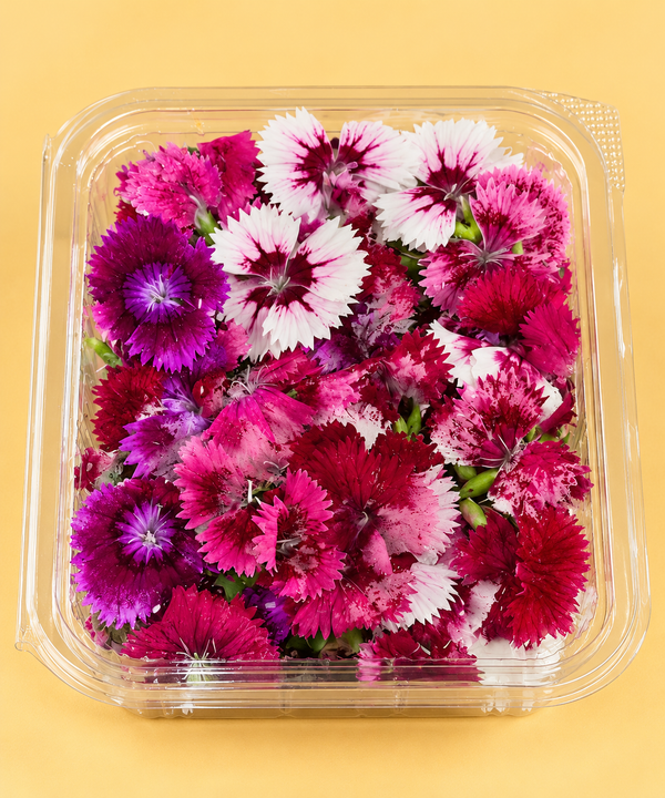 Edible flowers (1 box)