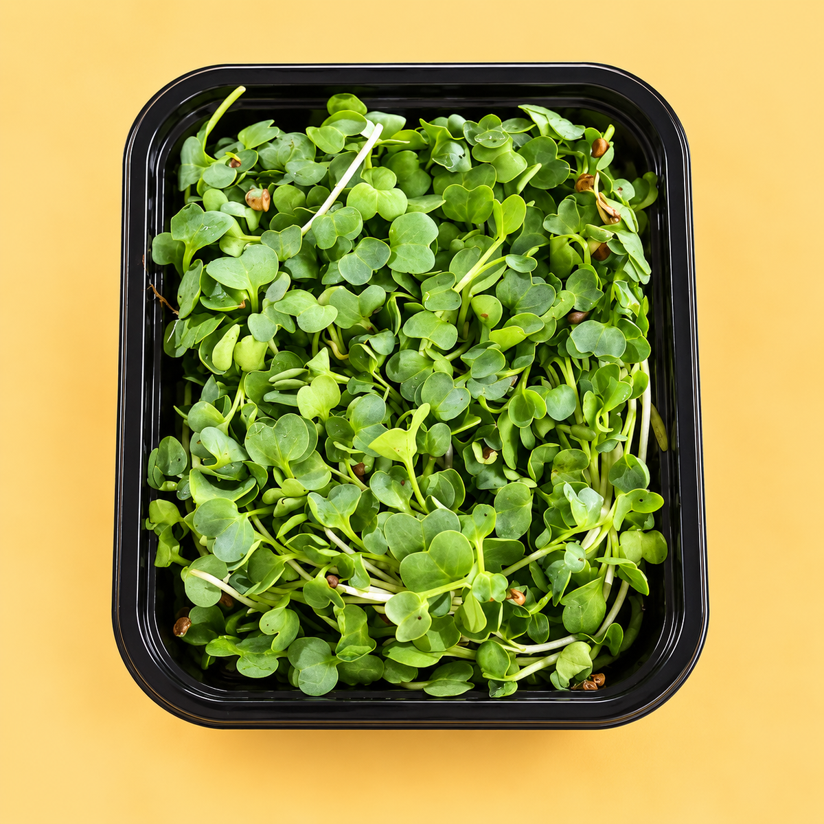 Microgreens (1 box)