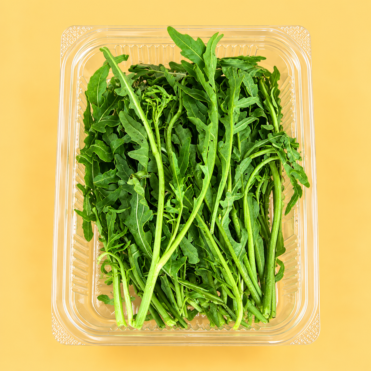 Aragula (1 box)