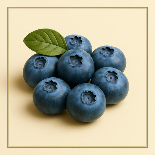 Blueberry Imported (1 pack)