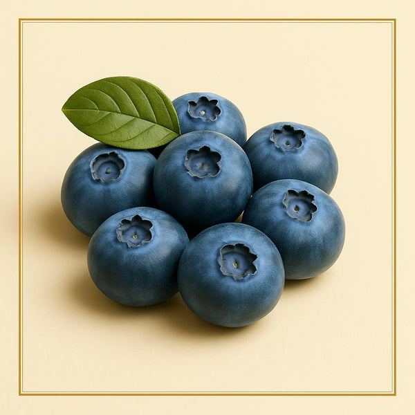 Blueberry Imported (1 pack)