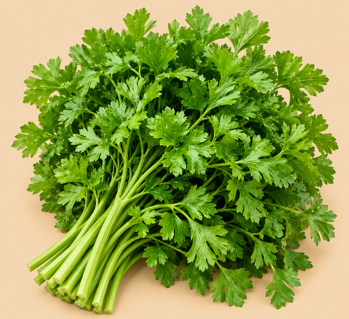 Parsley 100 g